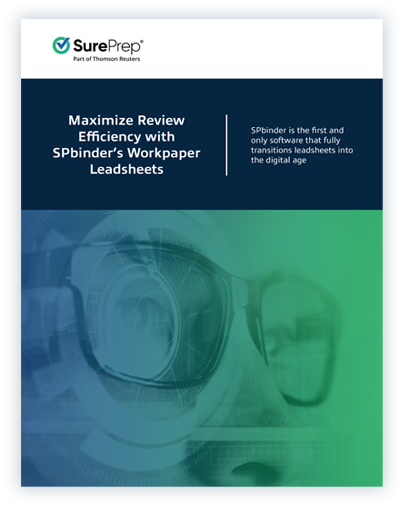 Maximize review efficiency with SPbinder's Excel-based leadsheets